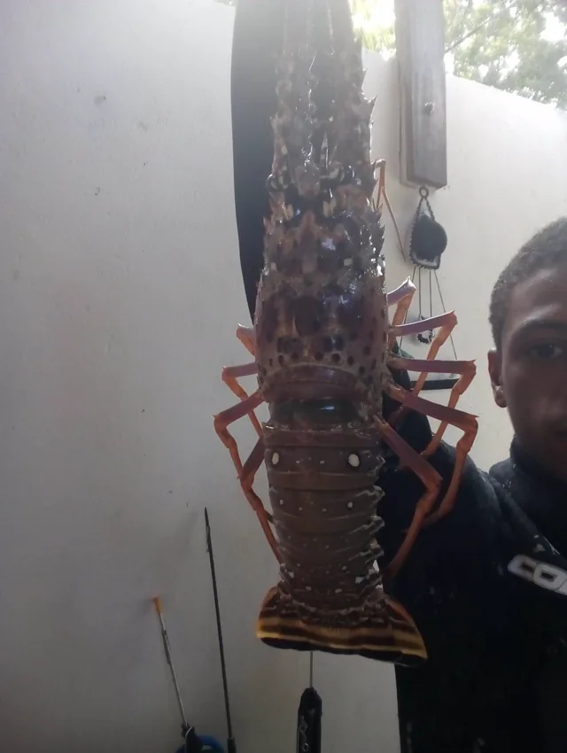 Filho de pescador artesanal com lagosta